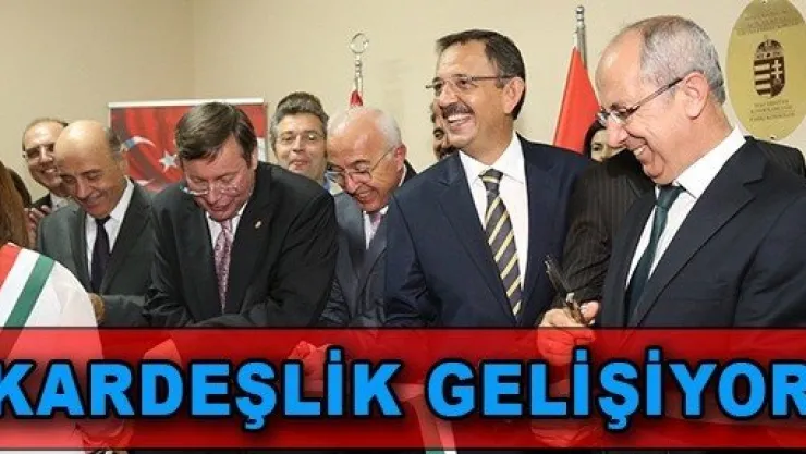 'Kardeşlik Gelişiyor'