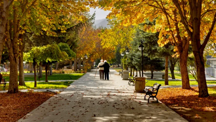 Kayseri Büyükşehir Belediyesi'nden 'Gümüş Yollar' Projesi