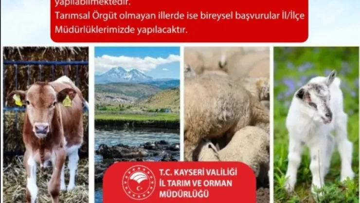 Kayseri'de 2025 yılı hayvancılık destekleme başvuruları için son gün 1 Aralık