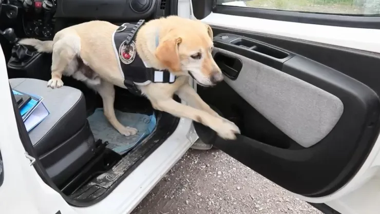 Kayseri'de film gibi uyuşturucu operasyonu: 3 Şahıs Yakalandı