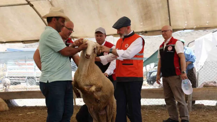 Kocasinan her şeyde olduğu gibi, Kurban kesim yerinde de TEK