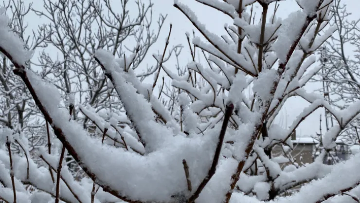 Kayseri kent merkezine sezonun ilk karı yağdı