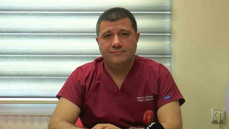 Veteriner hekimler de de sağlıkta şiddet yasası kapsamına alınmak istiyor