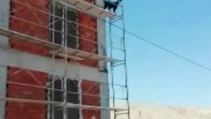 Keçi öyle bir yere çıktı ki, çıktığı yerden indirmek çok daha zor oldu