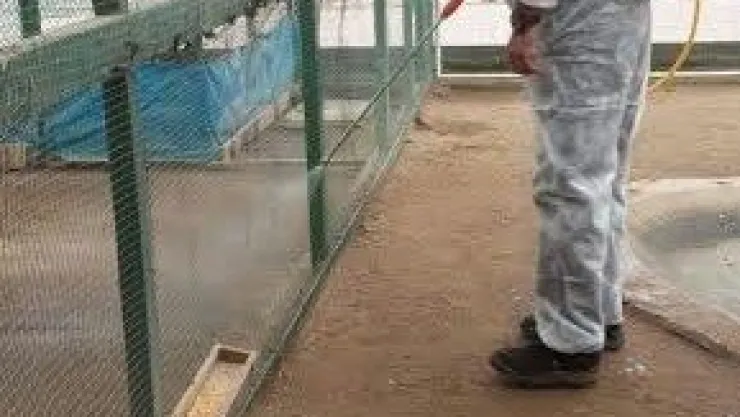 Kedi Bakım Evi Dezenfekte Edildi