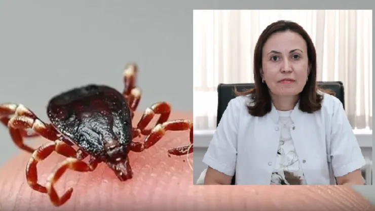 Kene Kâbusu ile ilgili Uyarı: Erciyes Üniversitesi'nden Önemli Açıklama