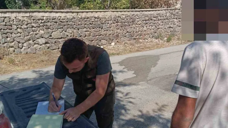 Kınalı keklikler yeniden doğayla buluşturuldu