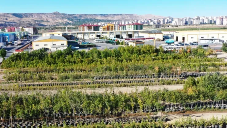 Kocasinan Belediyesi'nden Kayseri'ye Yeşil Dokunuşlar