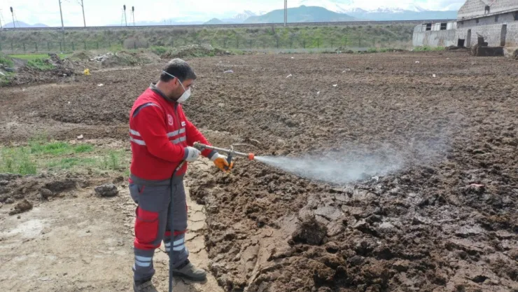 Haşere ile mücadele başladı