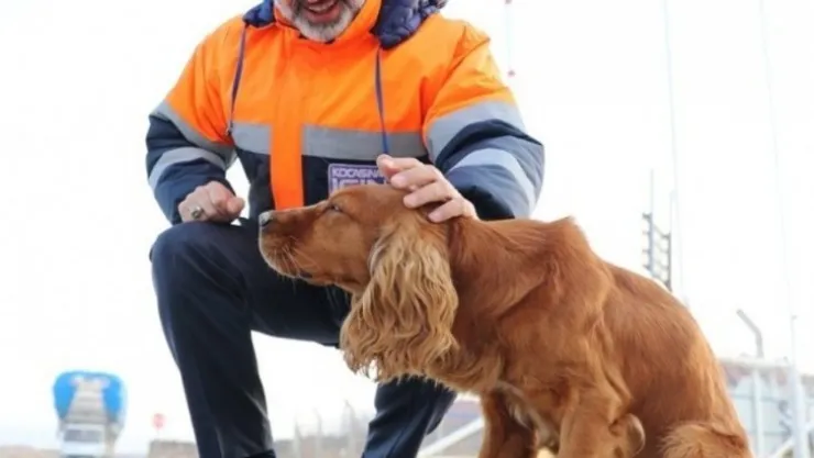 Kocasinan'dan yoğun kar yağışında sokak hayvanları için yemleme çalışması