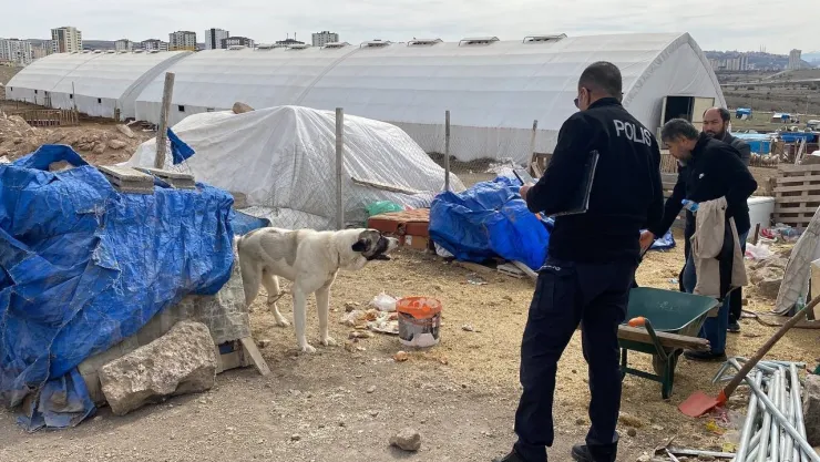 Köpek vahşeti 7 yaşındaki çocuğu hedef aldı