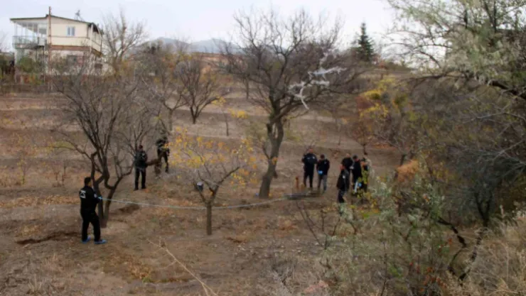 Boş arazide ağaca asılı ceset bulundu