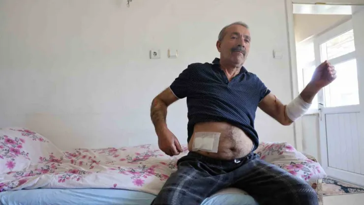 Köpeklerin saldırdığı adam dehşeti yaşadı