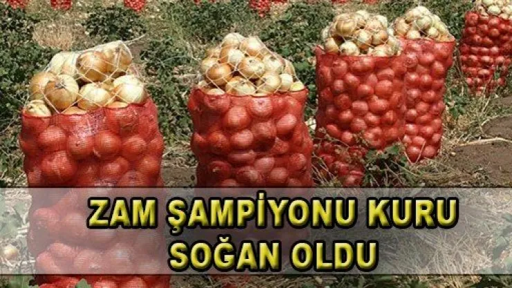 Kuru Soğan, Zam Şampiyonu