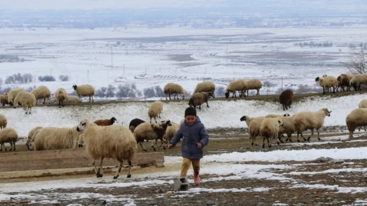 Meteoroloji uyardı: 'Hayvanların güvenli bölgelere getirilmesi önemli'