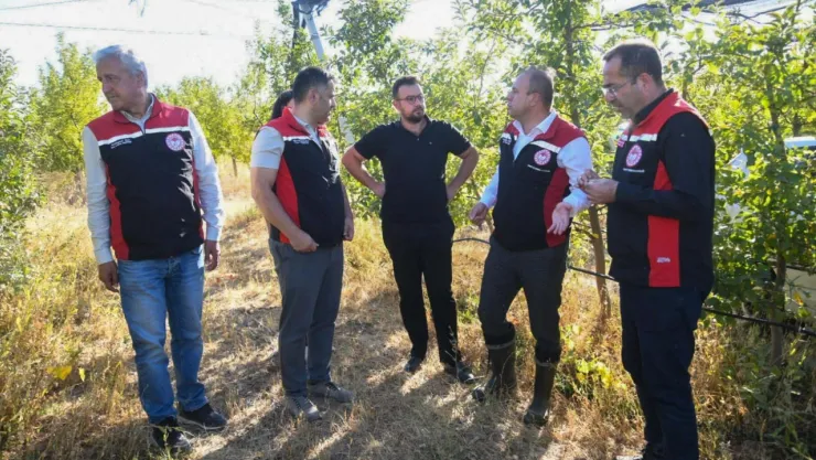 Müdür Saklav'dan elma bahçesinde inceleme