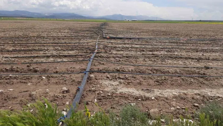 Niğde'de üreticilere 110 milyon 216 bin 58 TL'lik hibe desteği sağlanacak