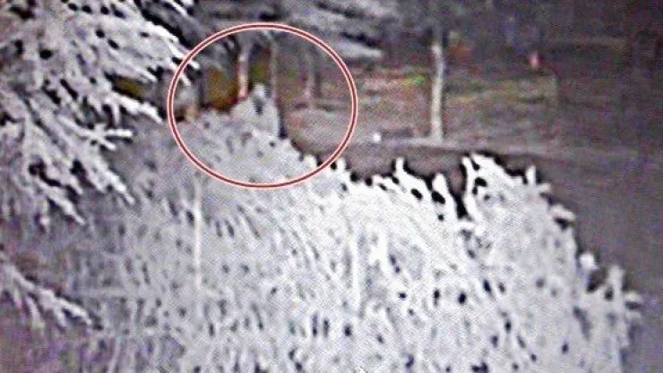 Dehşet Saçtı Kamerayı Görünce Kaçtı