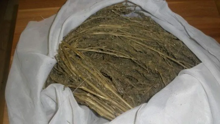 Polisten Sokak Satıcılarına Darbe