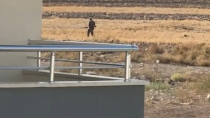 Pompalı tüfekle dehşet saçtı: Tavuklarına zarar verdiğini iddia ettiği sokak köpeklerini vurdu