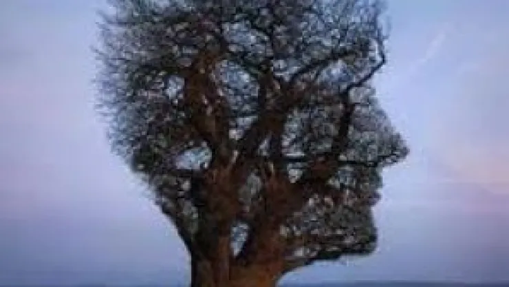 'RUH BEDEN DENGESİNDE İNSAN'  Mehmet AYMAN