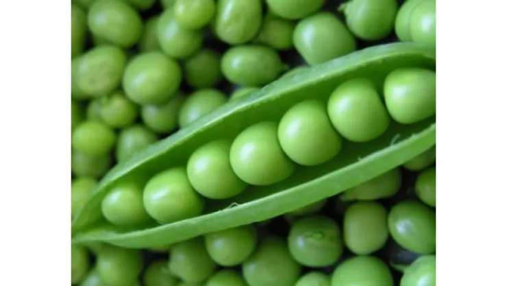 Selda Avcı ile Aktarım Diyor ki…