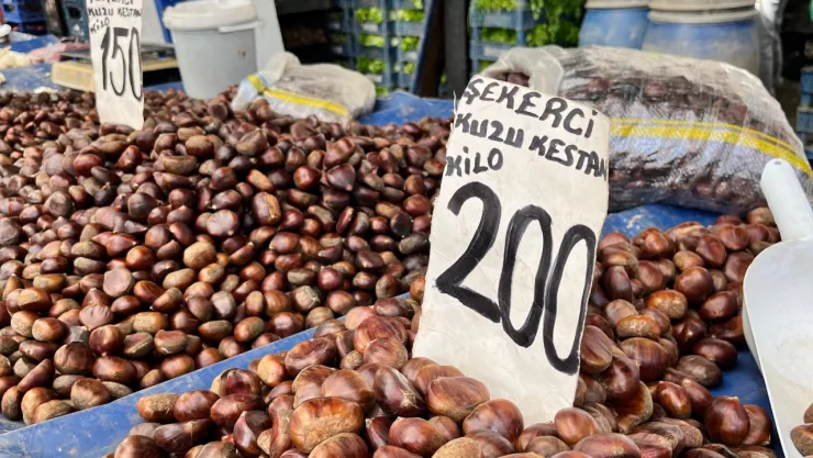 Semt pazarında rekor kestanenin