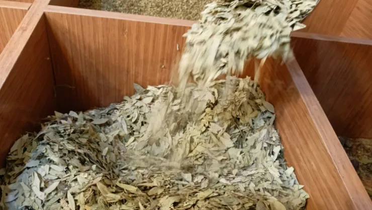 Soğuk havalara karşı bağışıklığı güçlendirecek bitkisel çözümler neler?