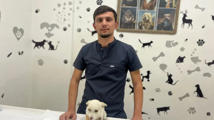 Sokakta salyalı bir köpek görürseniz uzak durun