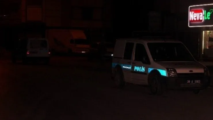 Şüpheli Çantadan 'pembe Panter' Çıktı