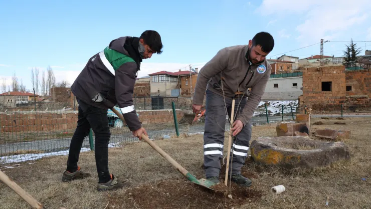 Talas Kırsalı Kestane Fidanı ile tanışıyor