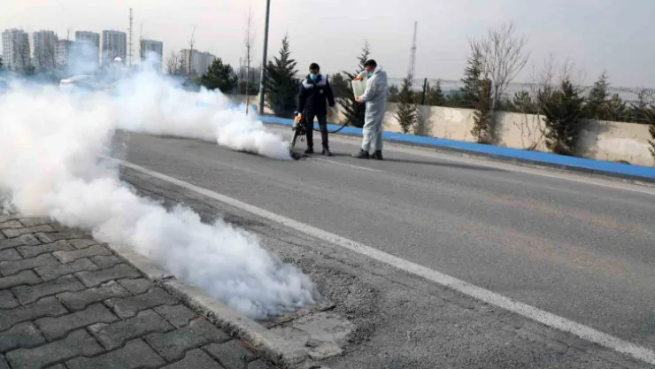 Talas'ta sinek ve haşerata erken önlem