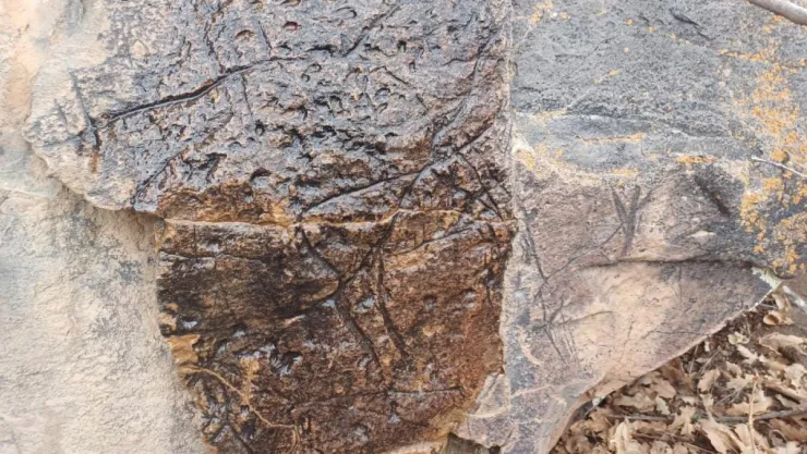 Tarih Öncesi Kaya Resimleri Kayseri'de Keşfedildi