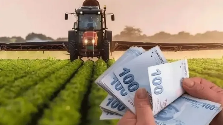 Tarım ve Orman Bakanlığı'ndan çitçilere 349 milyon lira destek ödemesi