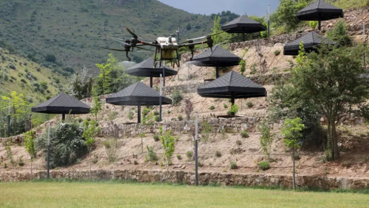Tarımdan sonra sinek ilaçlamasında da drone devri