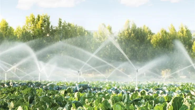 Tarımsal Elektrik Tarifelerinde Artış Çiftçiyi Zorluyor