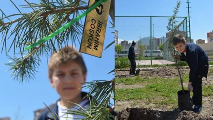 TEKDEN ortaokulu öğrencileri fidan dikti