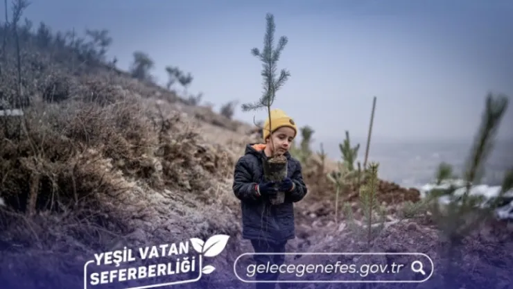 Türkiye, Avrupa'da ağaçlandırmada birinci, dünyada üçüncü sırada