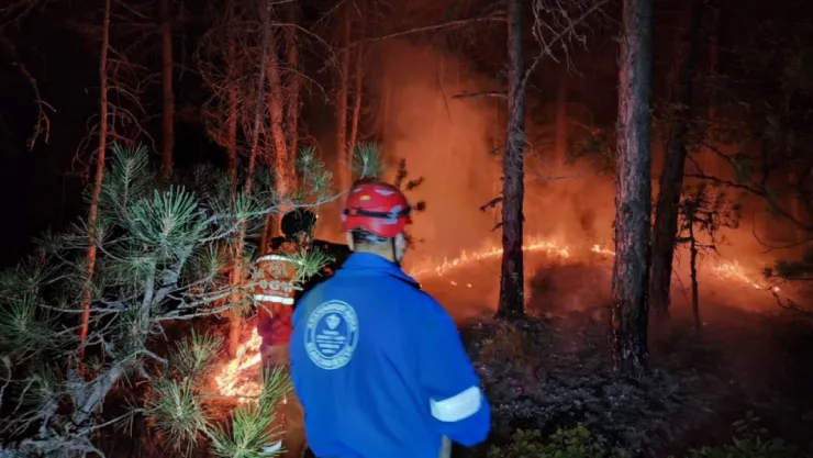 Türkiye Diyanet Vakfı, orman yangınlarıyla mücadelede sahada