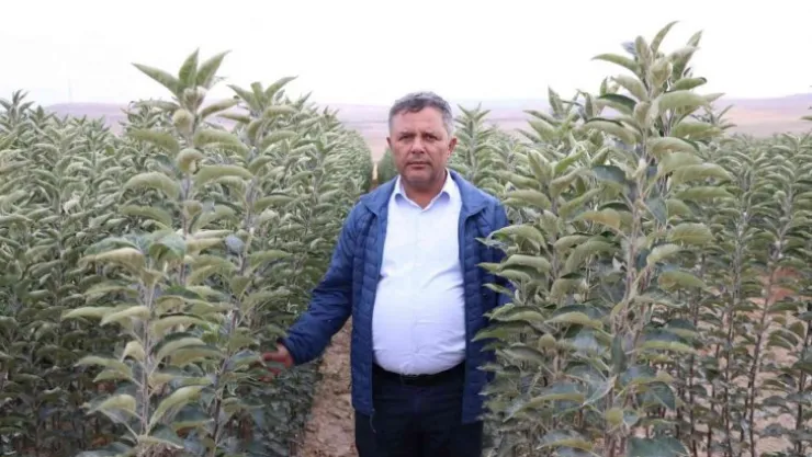 Türkiye'nin elma fidanları Niğde'den gidiyor