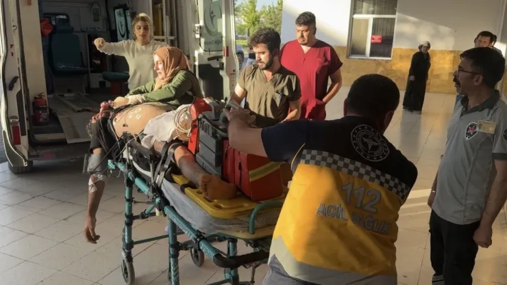 Üzerine yıldırım düşen tarım işçisi ağır yaralandı
