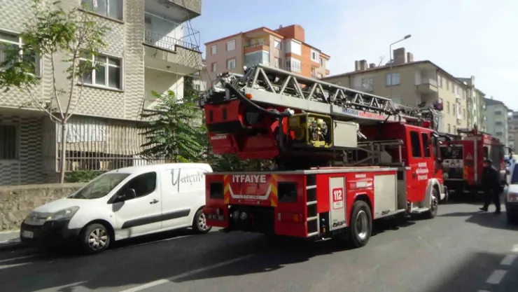 Yangında onlarca güvercin telef oldu