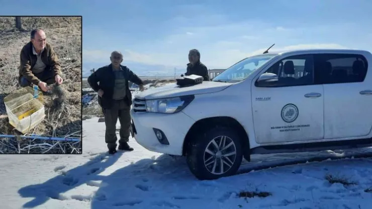 Yasa dışı avlanan 3 kişiye ceza