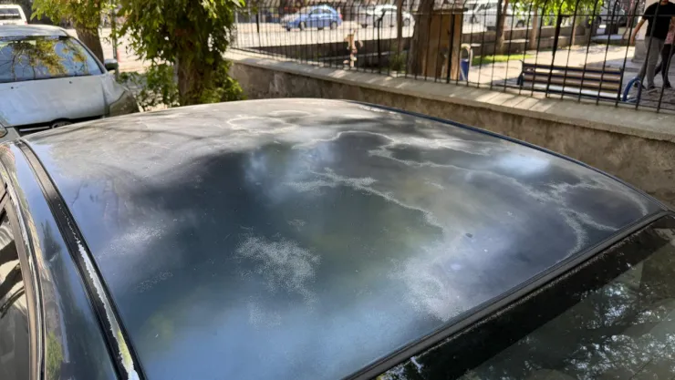 Yaz sıcağında araçları güneşten korumanın etkili yolları