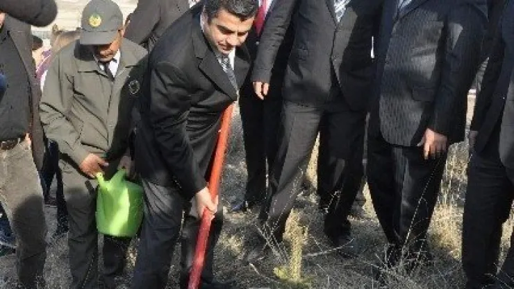 Yıl Sonuna Kadar 3 Milyon Fidan Toprakla Buluşturulacak 