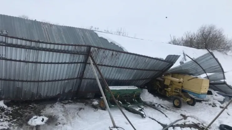 Yoğun kar yağışında mandıranın çatısı çöktü