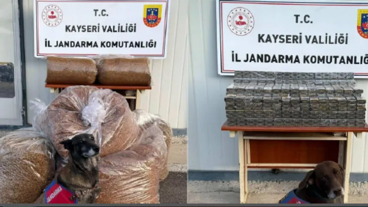 Yol kontrolü sırasında 275 kilogram tütün ele geçirildi