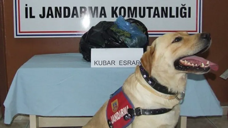 Yolcu treninde 2 kilo esrar ele geçirildi