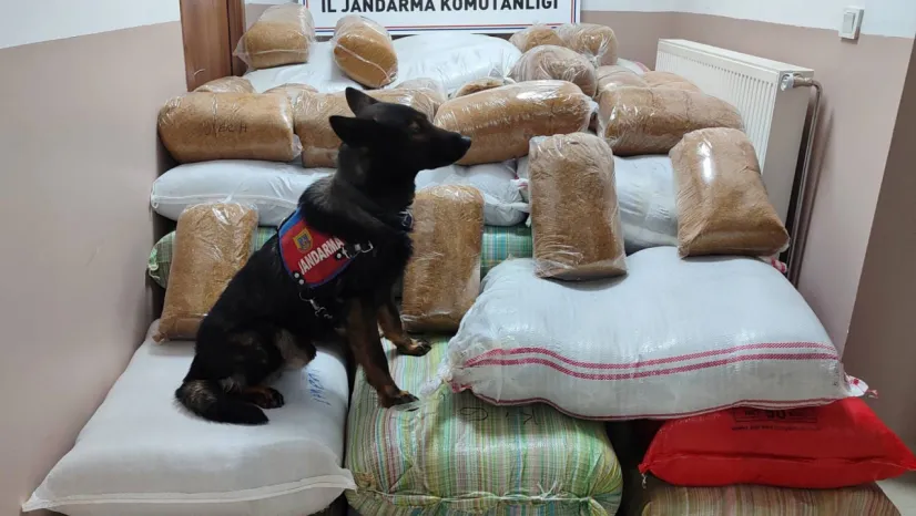 Bin 500 kilogram bandrolsüz kıyılmış tütün ele geçirildi