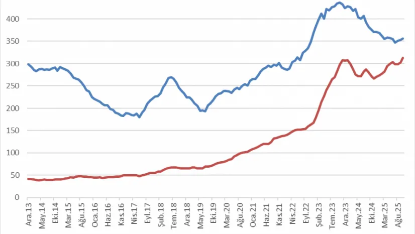 Evcil Hayvan Maması İthalatı, İşlemciyi Geride Bıraktı: Türkiye'nin Ekonomik Öncelikleri Tartışılıyor